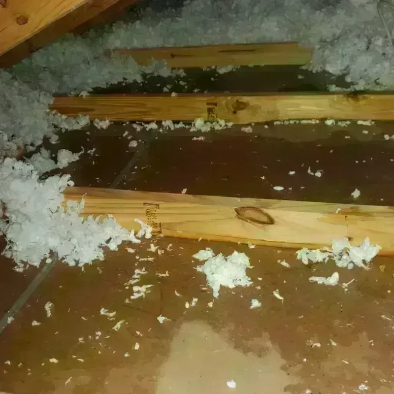 Attic Water Damage in Berlin, MA