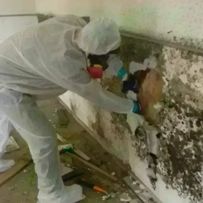 Mold Remediation and Removal in Berlin, MA